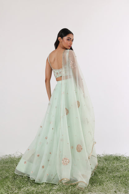 Mint Gota & Sequin Lehenga Dupatta Set