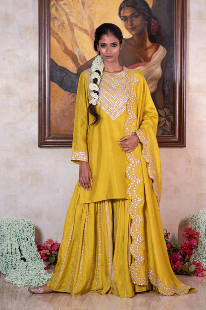 Olive gota and sequin kurta & embroidered garara set