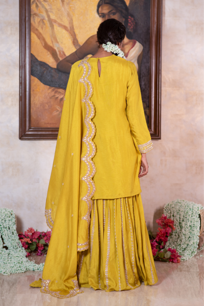 Olive gota and sequin kurta & embroidered garara set