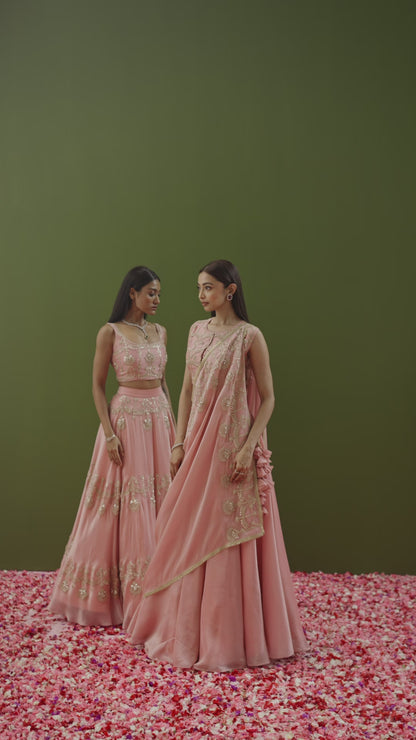 Blush Pink Zardozi & Dori Lehenga Set