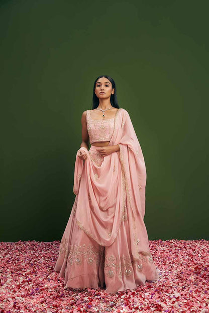 Blush Pink Zardozi & Dori Lehenga Set